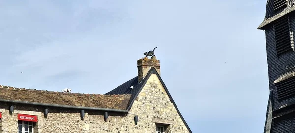 Skulpturer Katter Ovanpå Gamla Hus Honfleur Normandie Frankrike — Stockfoto