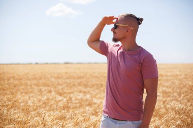Pembe tişörtlü ve güneş gözlüklü sakallı adam altın sarısı buğday tarlasına bakıyor.