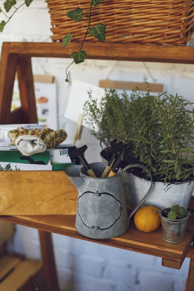 Vintage Gießkanne Mit Gartengeräten Auf Einem Holzregal Der Nähe Von Stockbild