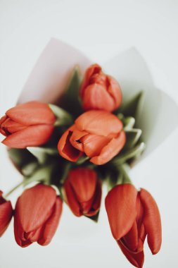 Kırmızı lalelerden oluşan makro fotoğraf buketi uluslararası Kadınlar Günü Anneler Günü 'nü etkiledi.