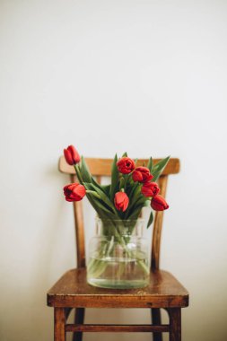 Şeffaf bir vazoda kırmızı lale buketi beyaz arka planda tahta bir sandalyede duruyor. 8 Mart Anneler Günü.