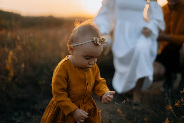 Bayi Mengumpulkan Rumput Lapangan Seorang Gadis Kecil Dengan Gaun Cokelat — Stok Foto