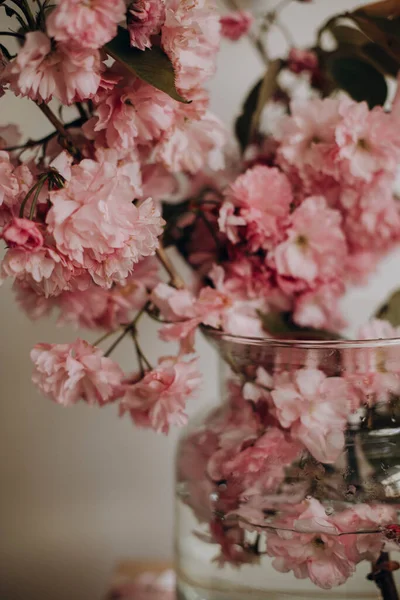 Cabang Sakura Alami Dalam Vas Transparan Cabang Merah Muda Dalam — Stok Foto