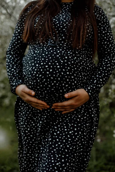 Pregnant Woman Hugs Her Tummy Pregnant Woman Supports Her Tummy Royalty Free Stock Images