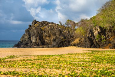 Fernando de Noronha Adası, Pernambuco, Brezilya 'daki Boldro Sahili' nin güzel manzarası.