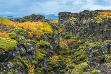 Avrasya ve Kuzey Amerika tektonik plakaları - Thingvellir Ulusal Parkı - İzlanda