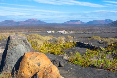 La Geria üzüm bağlarının arka planında Los Volcanes Doğal Parkı, Lanzarote - Kanarya Adaları, İspanya