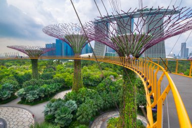 Singapur - 09 Kasım 2017 Arka planda Marina Körfezi Kumları 'nın olduğu Körfez kenarındaki Bahçeler' in Güzel Manzarası