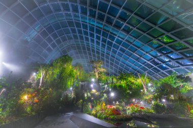 Singapur - Kasım 08, 2017. Körfez kenarındaki Gardens 'taki Bulut Ormanı Konservatuvarı' nın gece manzarası