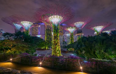 Arka planda Marina Körfezi Kumları olan Gardens 'taki Supertree Grove' un gece görüşü. Singapur - 08 Kasım 2017