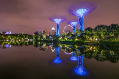 Arka planda Singapur Flyer 'ın olduğu, körfez kıyısındaki Supertree Grove' un gece manzarası. Singapur - 08 Kasım 2017