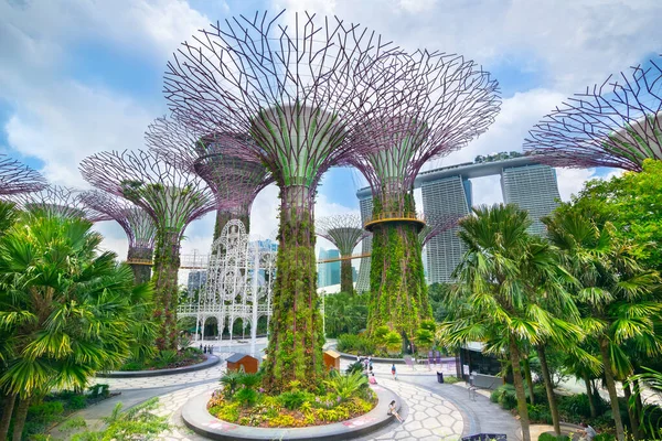 Singapur Noviembre 2017 Hermosa Vista Supertree Grove Gardens Bay Con — Foto de Stock