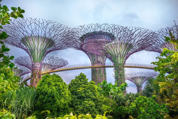 Singapur Noviembre 2017 Hermosa Vista Supertree Grove Gardens Bay — Foto de Stock