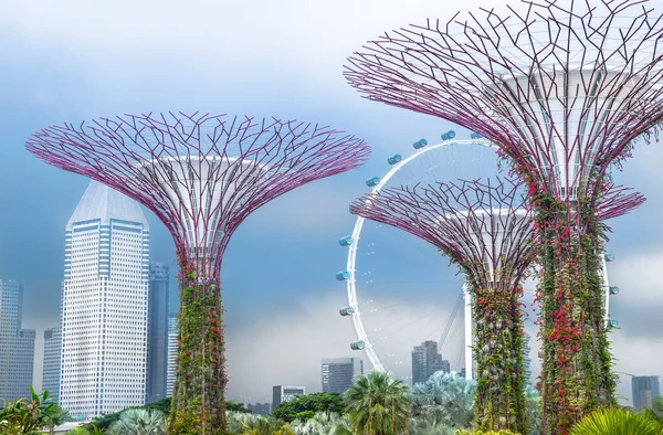 Vista Supertree Grove Gardens Bay Con Singapore Flyer Fondo Singapur — Foto de Stock