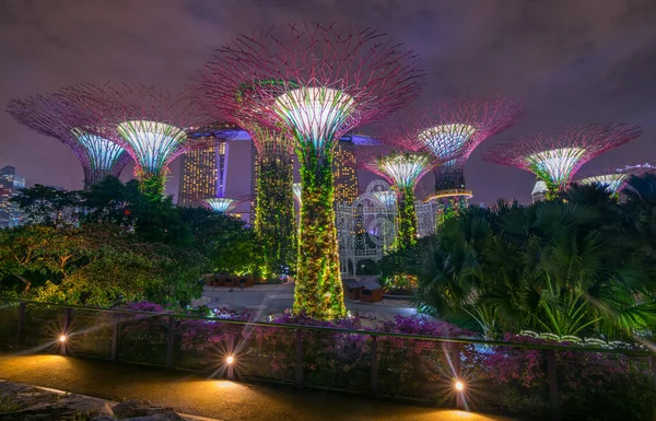 Vista Nocturna Supertree Grove Gardens Bay Con Marina Bay Sands — Foto de Stock