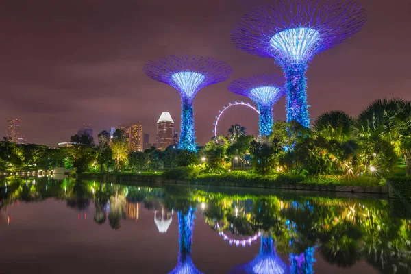 Vista Nocturna Supertree Grove Gardens Bay Con Singapore Flyer Fondo — Foto de Stock