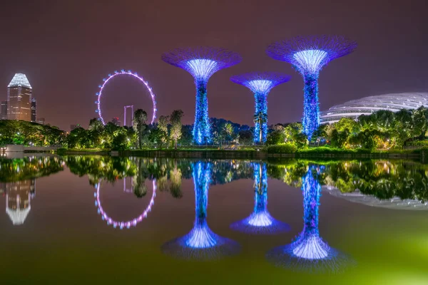 Vista Noturna Supertree Grove Jardins Perto Baía Com Singapore Flyer — Fotografia de Stock