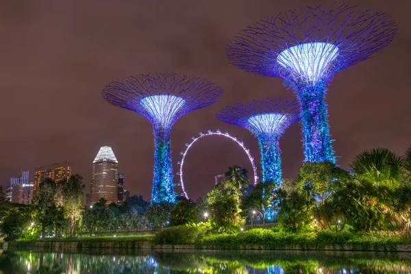 Vista Noturna Supertree Grove Jardins Perto Baía Com Singapore Flyer — Fotografia de Stock