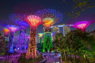 Arka planda Marina Körfezi Kumları olan Gardens 'taki Supertree Grove' un gece görüşü. Singapur - 08 Kasım 2017