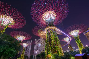 Körfezin yanındaki Gardens 'taki Supertree Grove' un güzel gece manzarası. Singapur - 08 Kasım 2017