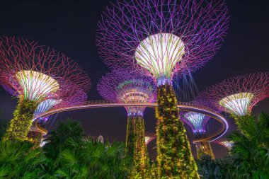 Körfezin yanındaki Gardens 'taki Supertree Grove' un güzel gece manzarası. Singapur - 08 Kasım 2017