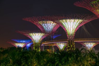 Körfezin yanındaki Gardens 'taki Supertree Grove' un güzel gece manzarası. Singapur - 08 Kasım 2017