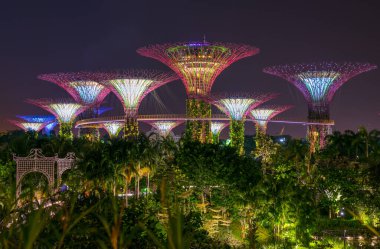 Körfezin yanındaki Gardens 'taki Supertree Grove' un güzel gece manzarası. Singapur - 08 Kasım 2017