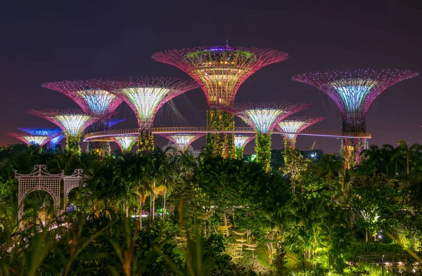 Hermosa Vista Nocturna Supertree Grove Gardens Bay Singapur Noviembre 2017 — Foto de Stock