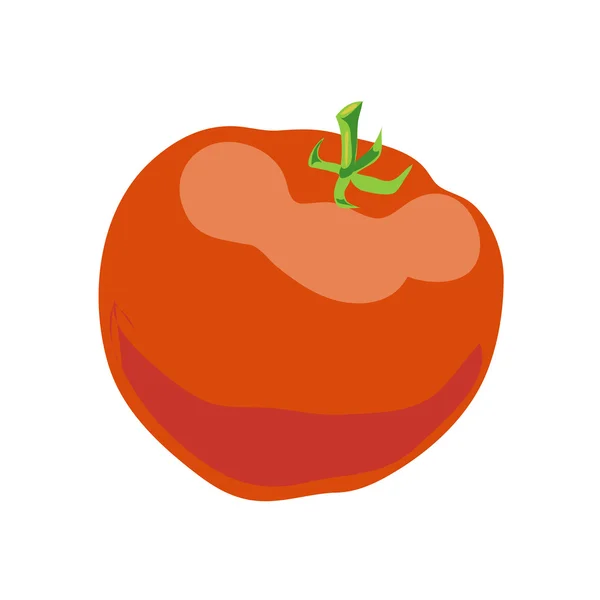 Tomate sur blanc — Image vectorielle