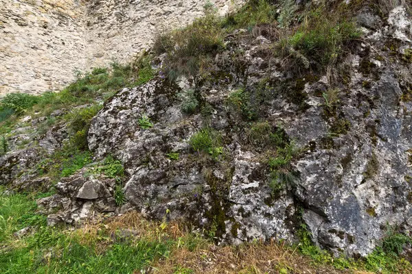 Zelená tráva a mech na skalách — Stock fotografie