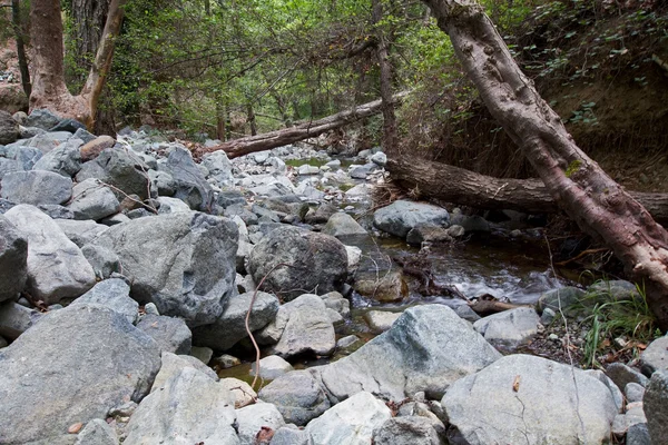 River in stones — Stock Photo, Image