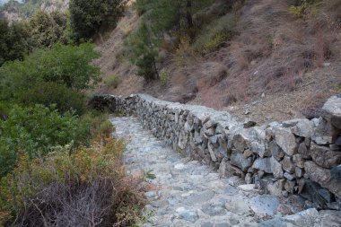 Bir ormandaki taş yol