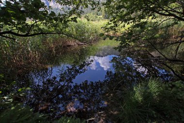 Göldeki yansımalar