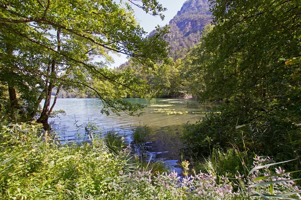 Jezero v horách — Stock fotografie