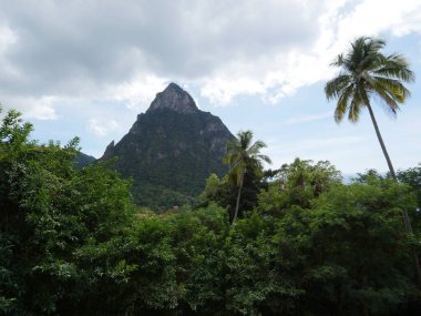 St. Lucia, Karayip Adaları 'ndaki Soufriere Town' daki Piton dağlarından biri.