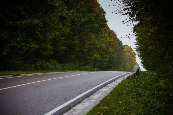 New asphalt road through the forest — Stock Photo, Image