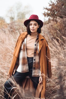 Sonbahar manzarasında kuru çimlerle güzel bir bayanın açık hava moda fotoğrafı. Örgü süveter, şarap ruju. Sıcak Sonbahar.