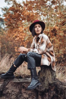 Sonbahar manzarasında kuru çimlerle güzel bir bayanın açık hava moda fotoğrafı. Örgü süveter, şarap ruju. Sıcak Sonbahar.
