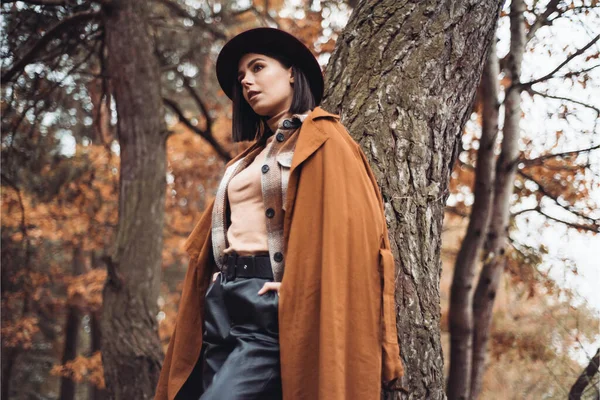 乾燥した秋の森の中でファッショナブルな服を着た若い女性 — ストック写真