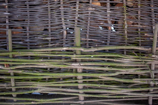 Bambusové Textury Pozadí Zblízka — Stock fotografie