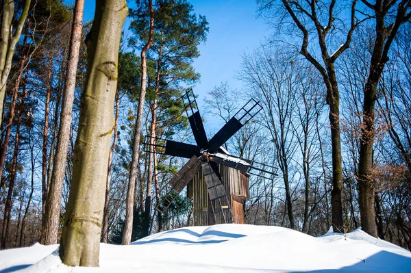Traditionell Holländsk Väderkvarn Vintern — Stockfoto