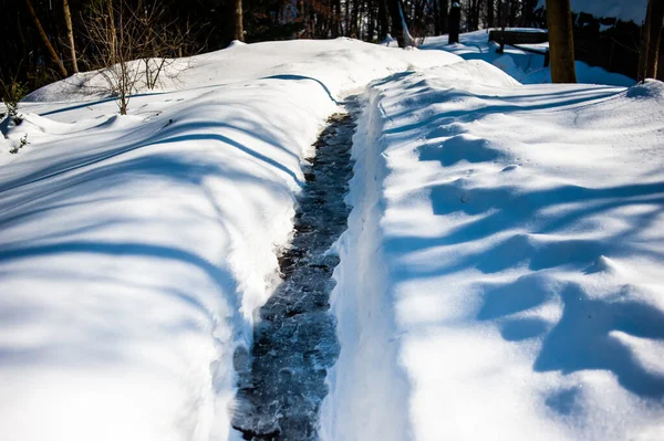 Vinterlandskap Med Snötäckta Träd — Stockfoto