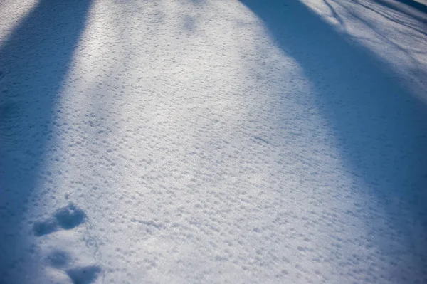 Snötäckt Vinterlandskap — Stockfoto