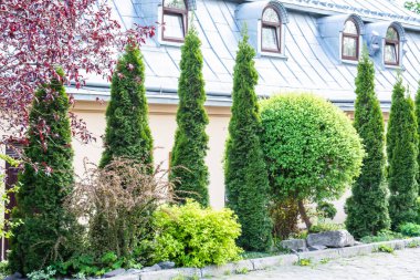 Parkın güzel manzarası