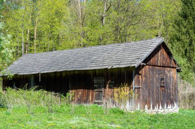 Ormandaki eski ahşap ev
