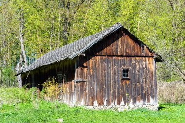 Ormandaki eski ahşap ev