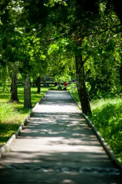 Parkın güzel manzarası