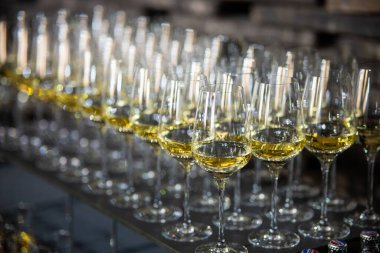 Lüks bir ortamda birçok şampanya kadehi. Tarz sahibi, koyu renkli bir fotoğraf. Yüksek sosyete resepsiyonu, yeni yıl kutlaması, düğün