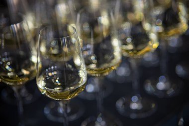 Lüks bir ortamda birçok şampanya kadehi. Tarz sahibi, koyu renkli bir fotoğraf. Yüksek sosyete resepsiyonu, yeni yıl kutlaması, düğün