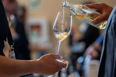 Jerez 'de Sherry şarabı